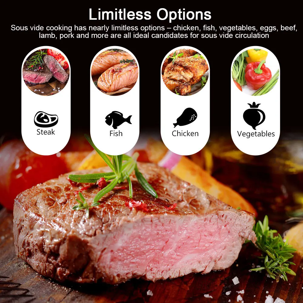 1100W Vakum Sous Vide Cooker L - Sous Vide Immersion ulasan dan harga