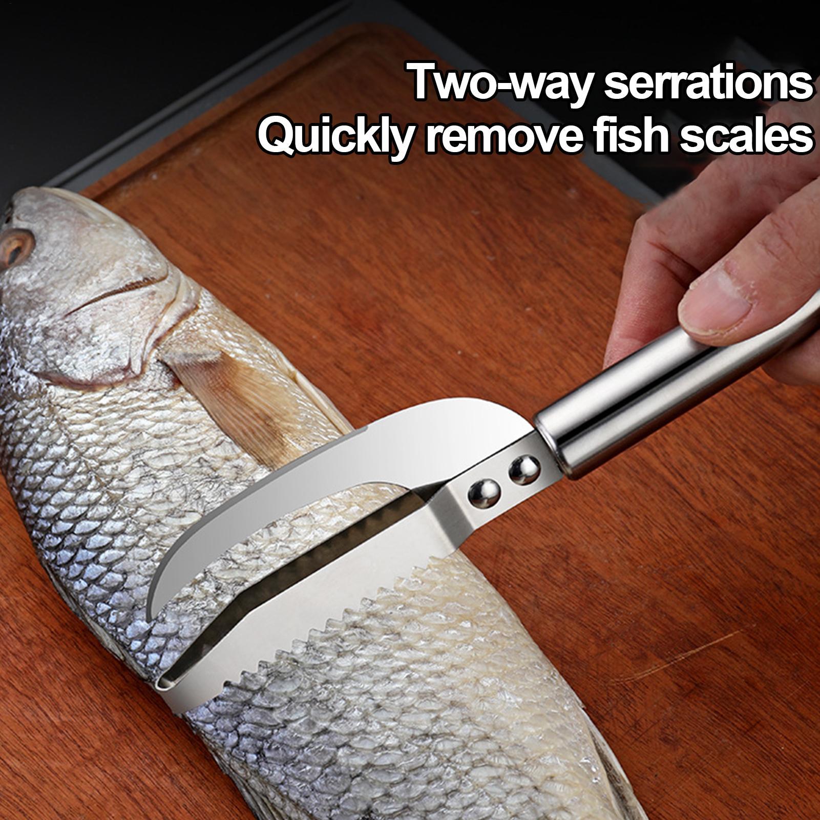 Pisau Pengupas Sisik Ikan, Pen - Kitchen Appliances Gift ulasan dan harga