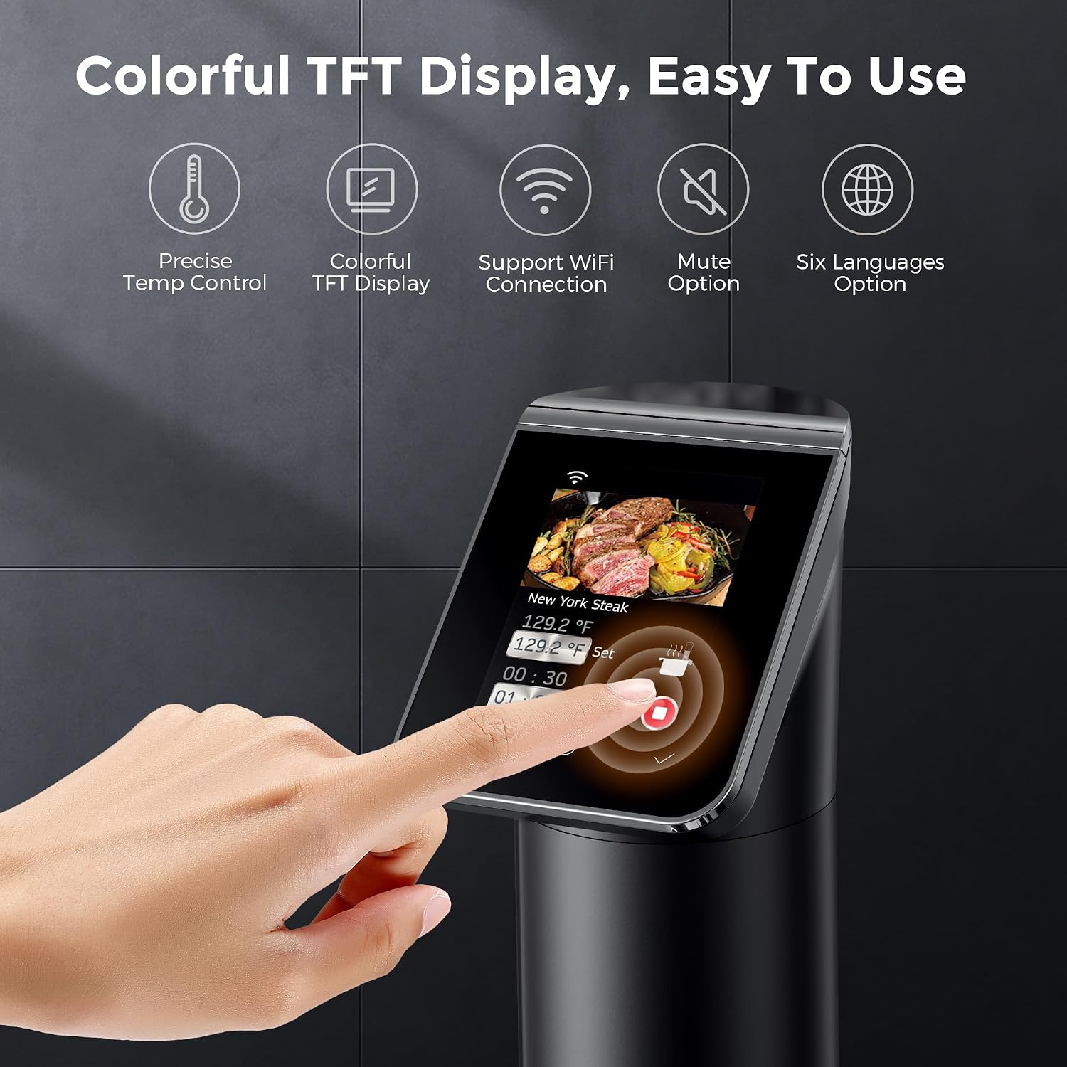 Penghangat Makanan Sous Vide W - Sous Vide Immersion ulasan dan harga
