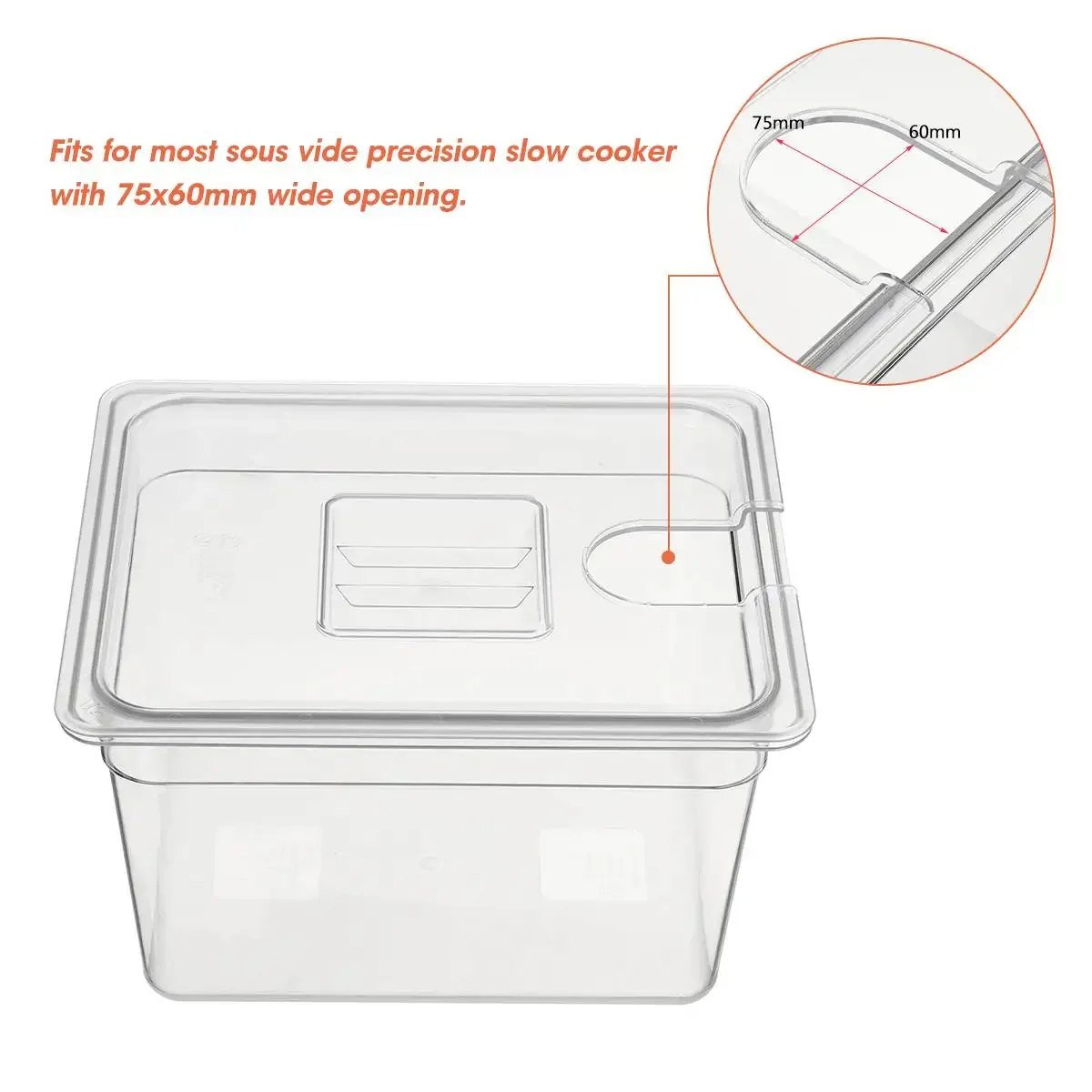 Tangki Air Wadah Sous Vide 6L  - Sous Vide Immersion ulasan dan harga