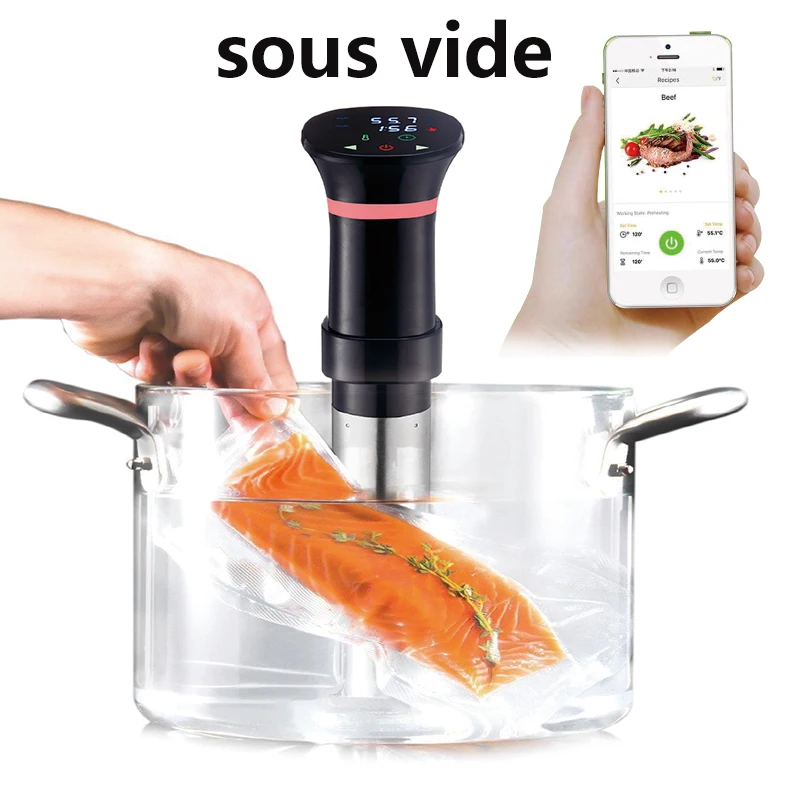 220V Sous Vide Precision Cooke - Sous Vide Immersion ulasan dan harga
