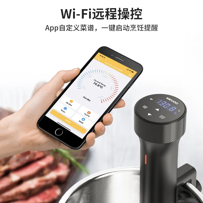 110V/220V WEVAC Sous Vide Prec - Sous Vide Immersion ulasan dan harga