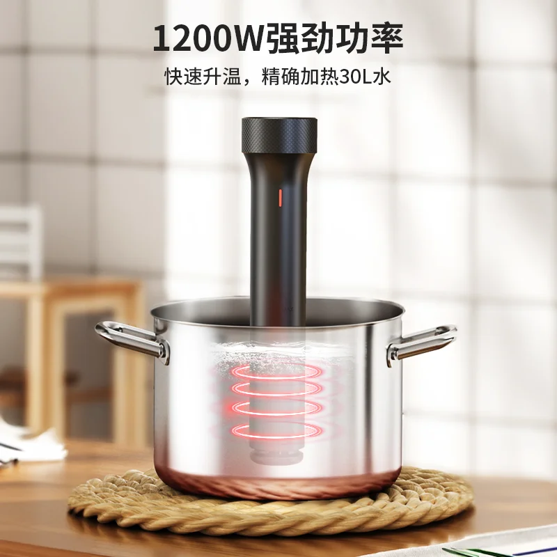 110V/220V WEVAC Sous Vide Prec - Sous Vide Immersion ulasan dan harga