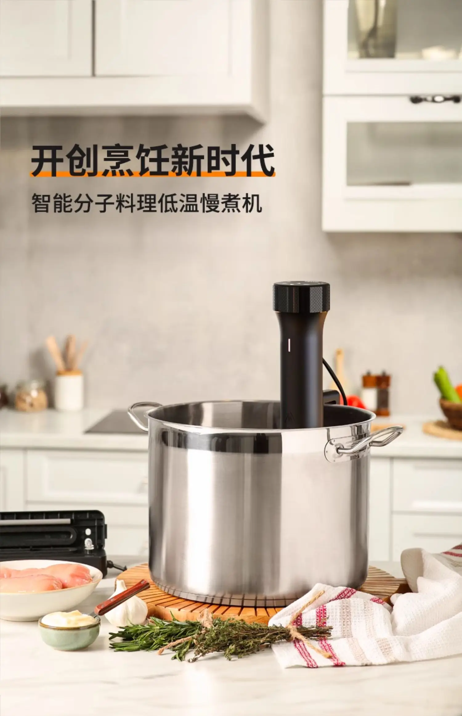 110V/220V WEVAC Sous Vide Prec - Sous Vide Immersion ulasan dan harga